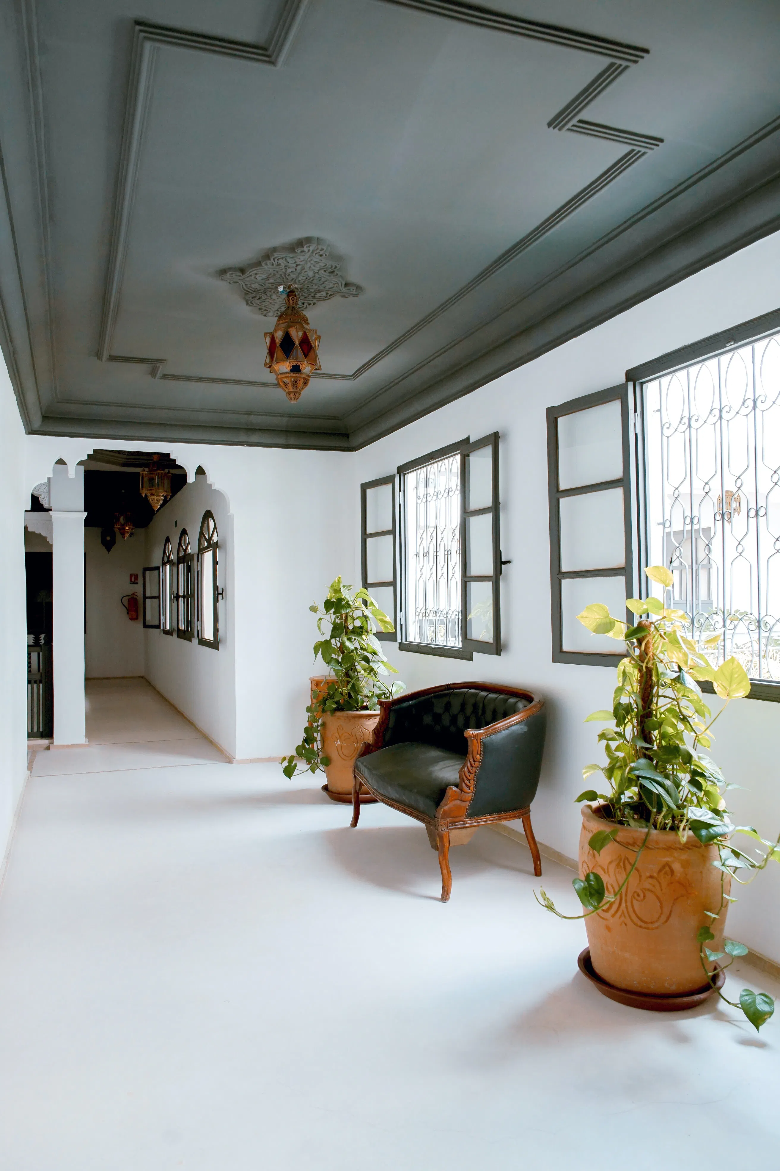 Dark green painted ceiling with custom molding
