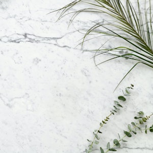 Marble counter with green leaves