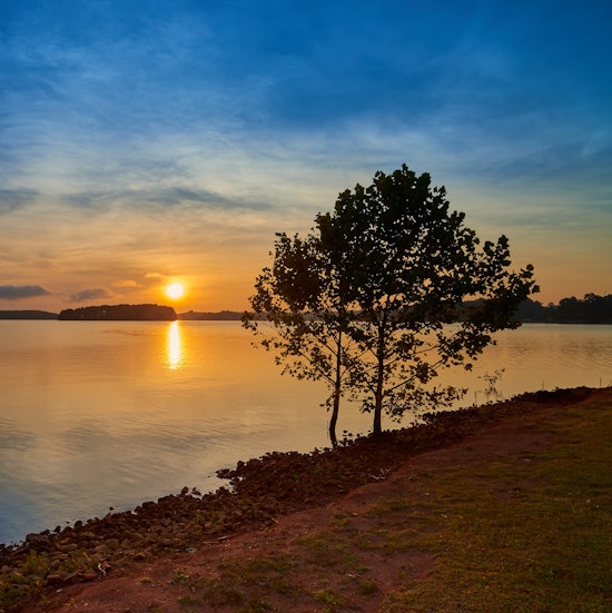 Sunrise over a lake lot in South Carolina.