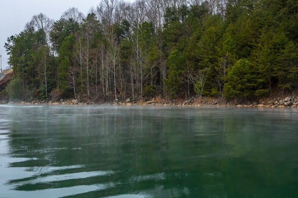A misty South Carolina lake with pine trees and leafless hardwood trees in winter.